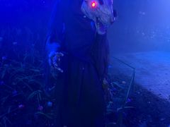 -歌斐颂巧克力小镇