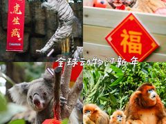 -广州长隆野生动物世界