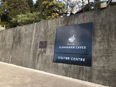 -怀托摩萤火虫洞