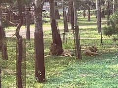 -秦皇岛野生动物园