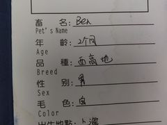 -申普宠物医院·心脏介入·心血管微创(总院)