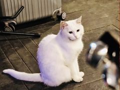 -后巷酒吧Back Alley(未来广场店)