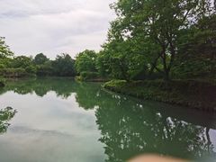 -西溪国家湿地公园