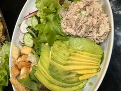 -Fern Forest Cafe