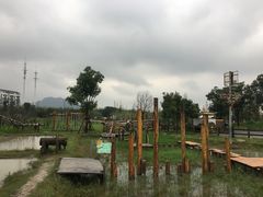 -田园东方蜜桃村的田野营地