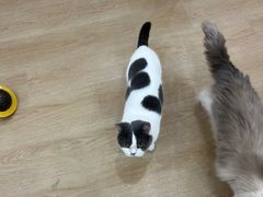 -1013 PET SHOP 宠物商店(近铁城市广场店)