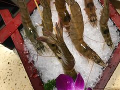 -魔法帽酱料牛肉小火锅(米兰店)