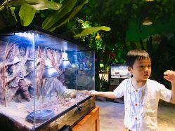 -酷嗒动物文化乐园(cutezoo西溪乐天城店)