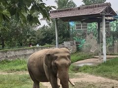-西安秦岭野生动物园