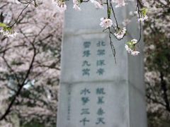 -武汉大学-樱园