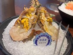 鲜活小青龙-东海怡品海鲜豆捞(舟宿夜江店)