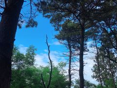 -沈阳辉山风景区