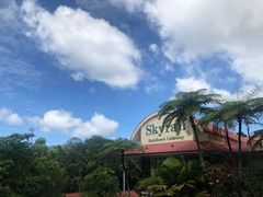 -热带雨林自然公园