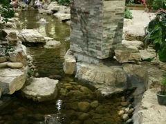 android_upload_pic-森谷美食公园(杨行店)