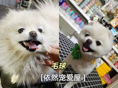 -宠爱屋室内萌宠乐园(阿拉善左旗店)
