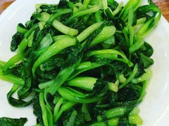 -东北农家饺子村(昌平路店)