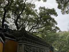 -普陀山风景名胜区-法雨禅寺