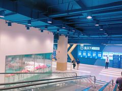 -盒马X会员店(上海森兰商都店)