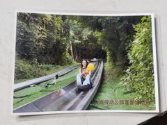 -富斯特索道