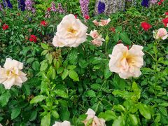 -人民公园(罗湖区)