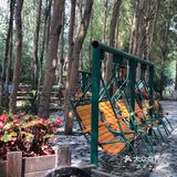 自然生态园—鸟岛