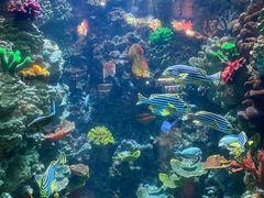 -海合安青岛极地海洋公园