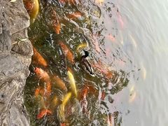 -团结湖公园