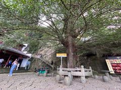 -大慈岩风景区