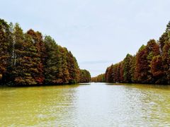 -上海海湾国家森林公园