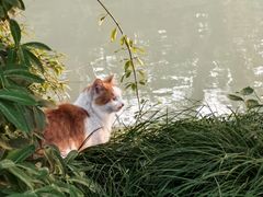 -扬州大运河文化旅游度假区·盆景园