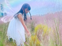-映月湖中央公园