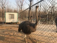 -草根堂农场