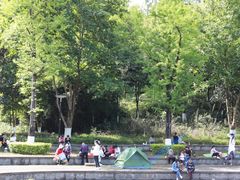 -重庆彩云湖湿地公园