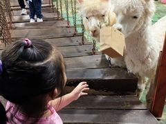 -上海大自然野生昆虫馆(东方明珠·爬宠昆虫探索中心)