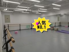 -中央芭蕾舞团·中芭艺蕾(酒仙桥明星校区)