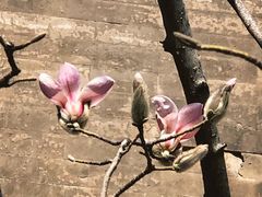 -东华门大街小区