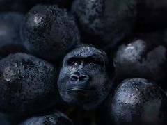 -富力希尔顿酒店·地阔自助餐厅