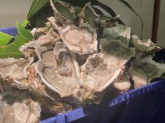 -海口绿发希尔顿酒店-田园汇自助餐·三文鱼·海鲜