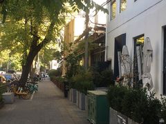 -三里屯东五街银杏大道