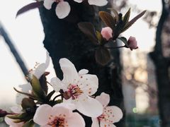 -贮水山儿童公园