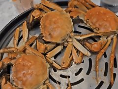 -半岛听涛蒸汽海鲜自助(K11店)