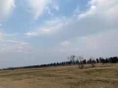 -汉长安城未央宫国家考古遗址公园