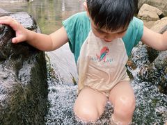 -广州白江湖森林公园