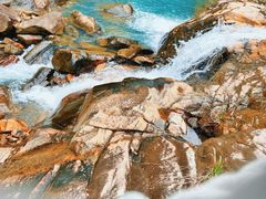 -广州白江湖森林公园