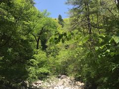 景点-黑河国家森林公园