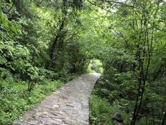 -青峰峡国家森林公园