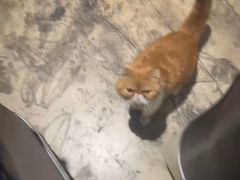 -沐禾网咖(财富店)