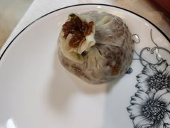-丁老爷子苏香圆