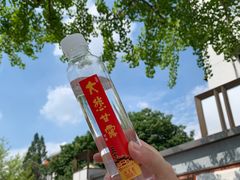 -龙华寺