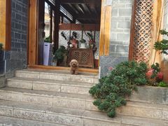 -草墩罗非鱼庄•野生菌•腊排骨(七星街上段店)